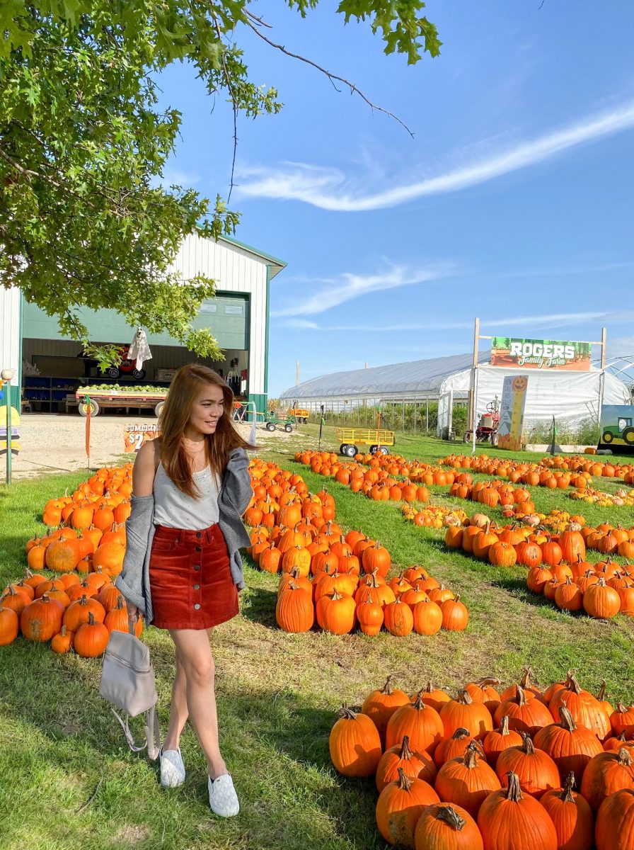 Pumpkin Patch Trip - Travels and Whims