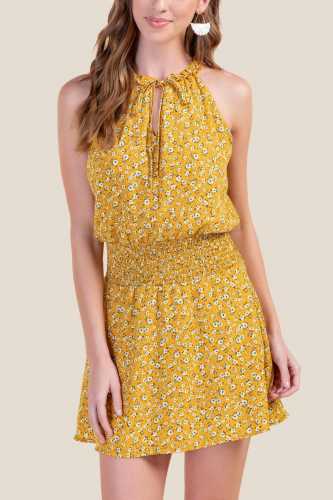 Katherine Smocked Waist A-Line Dress (Francesca's)